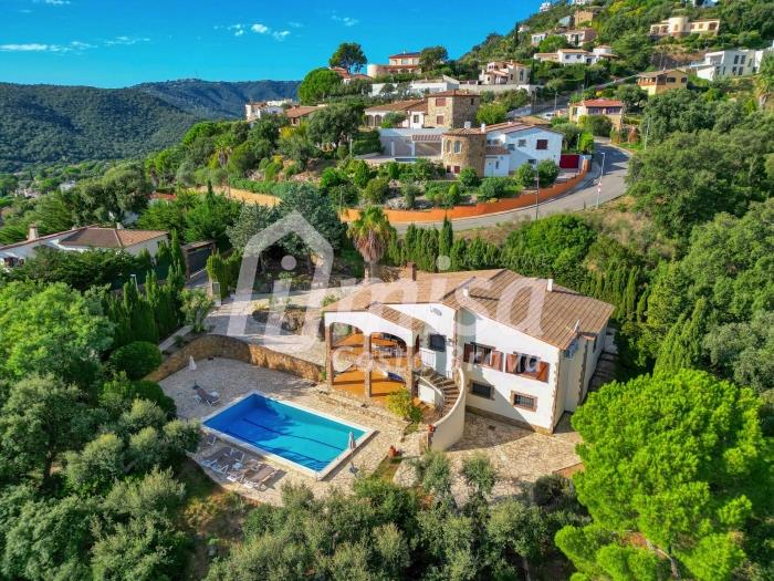 Villa Paradise